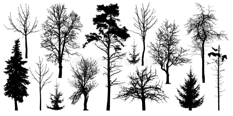 Forest trees without leaves. Winter trees set, silhouette vector. Ð¡ollection of isolated tree trunks with knots